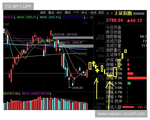波胆是什么意思防骗避坑平台对比评测